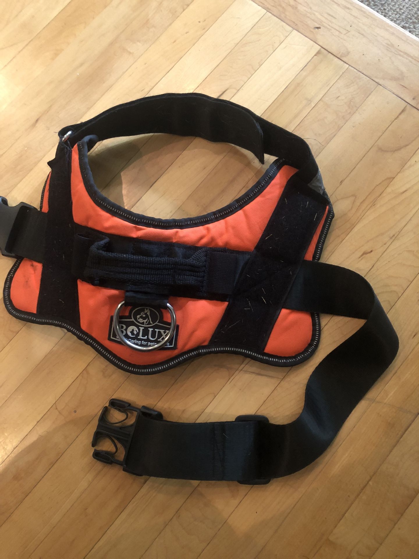 Puppy Gear