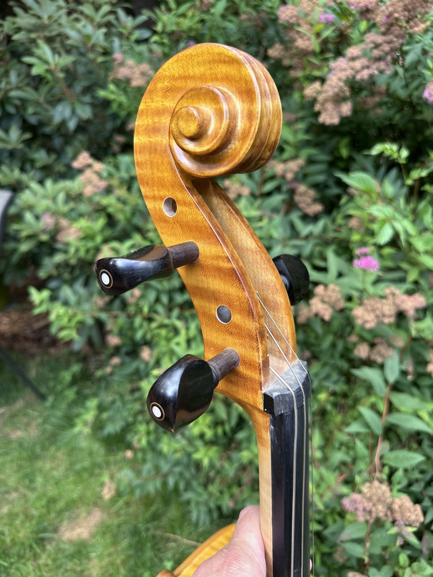Cello