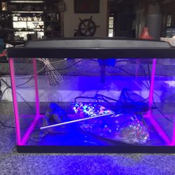 Neon Fish Tank