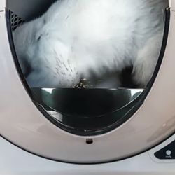 Litter-Robot® 3 Fence by Whisker