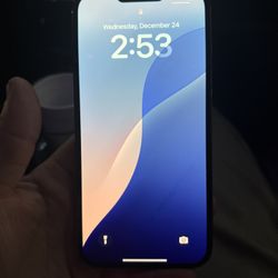 iPhone 13 Pro Max 256gb Unlocked 