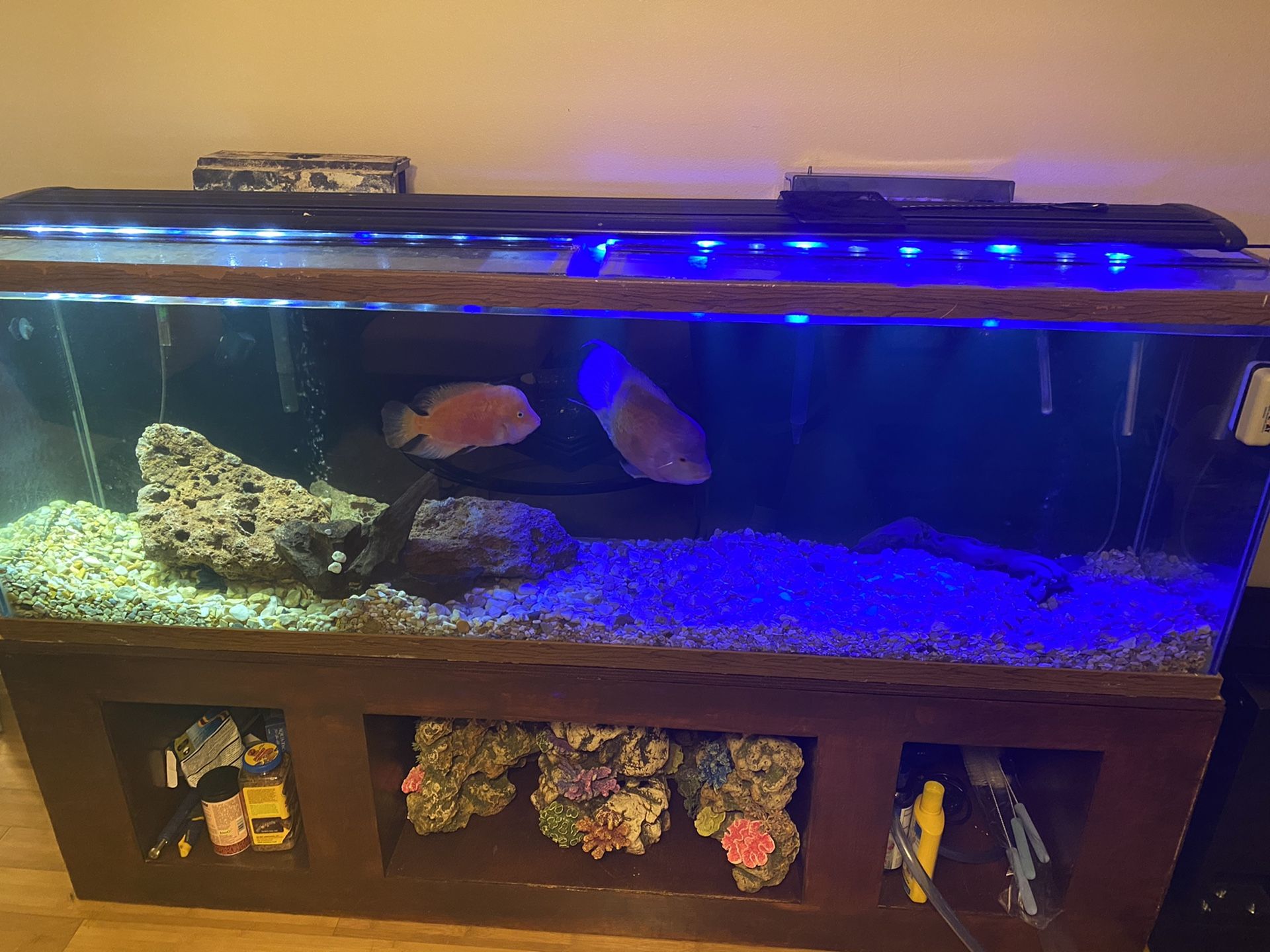 Aquarium