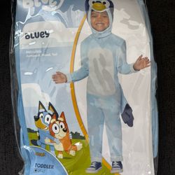 Bluey Costume