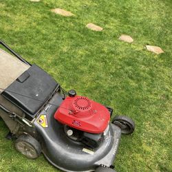  Mower And Weed Eater