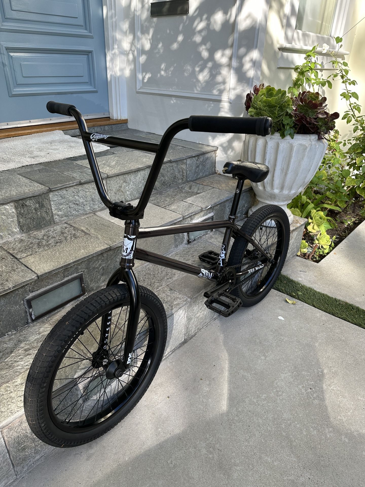 Custom BMX Bike
