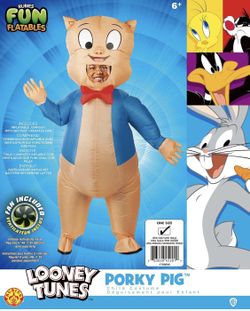 Costume