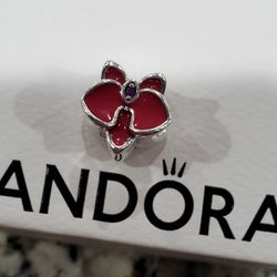 Pandora Charm