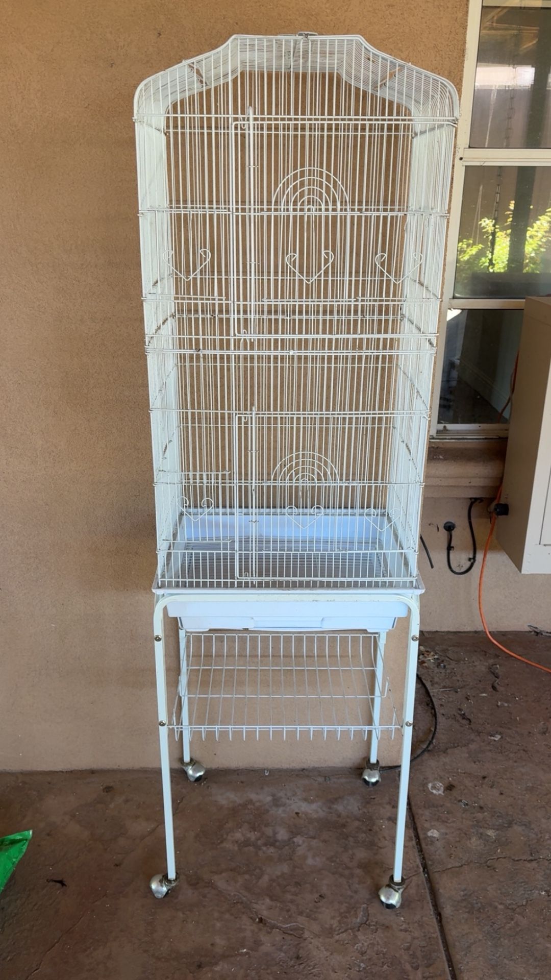 Bird Cage 