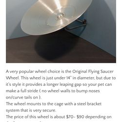 Chinchilla Wheel Flying Saucer FUN!!