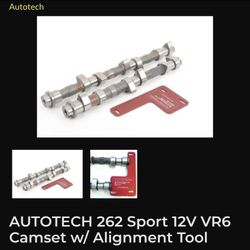 Autotech 262° Camshafts And HD Valve Spring Set