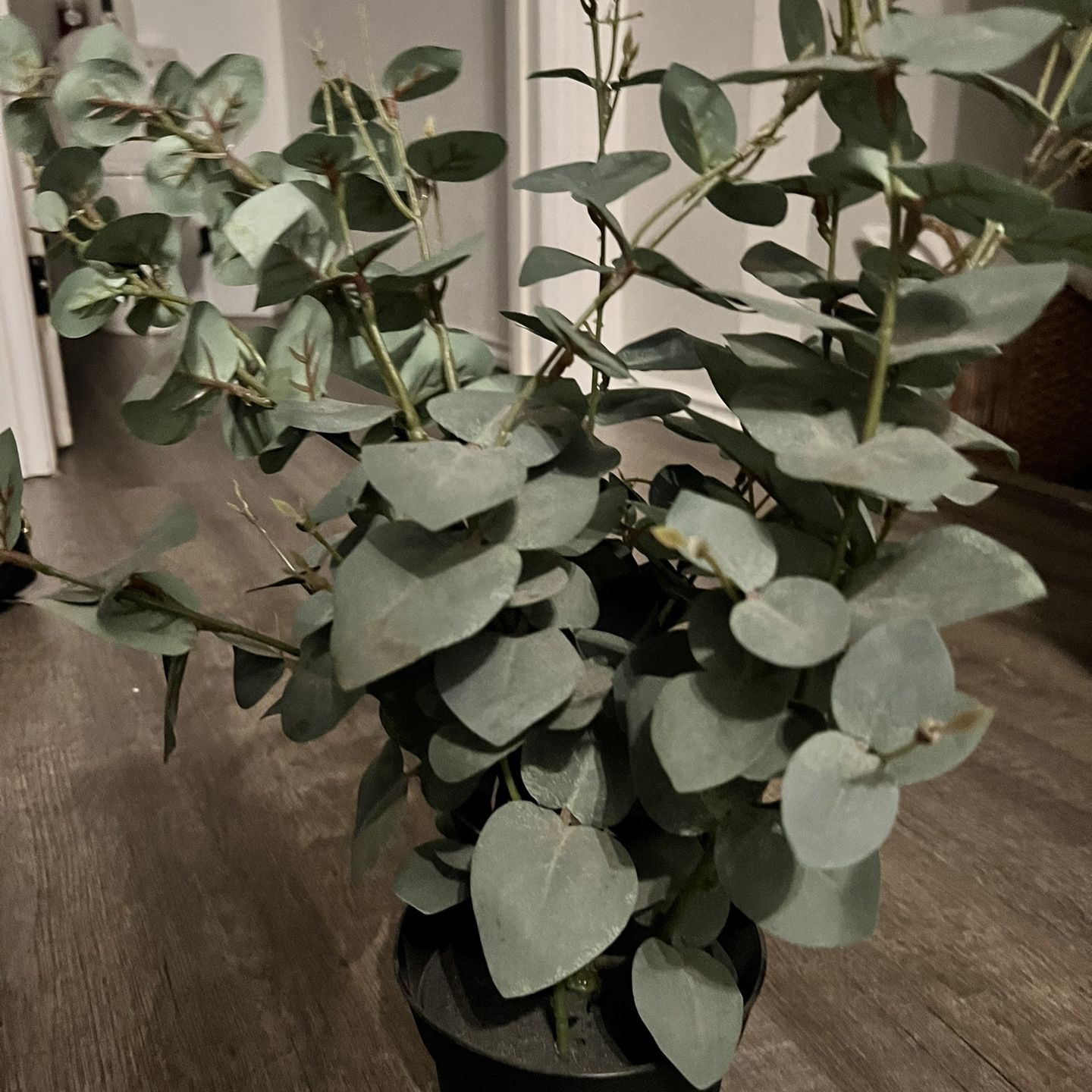 IKEA Faux Eucalyptus Plant for Sale in Colton, CA