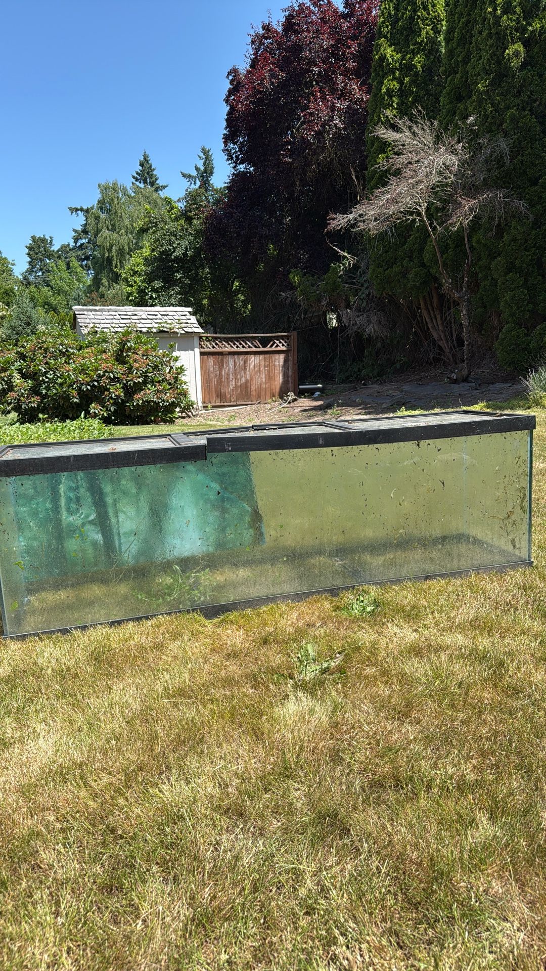 fish tank