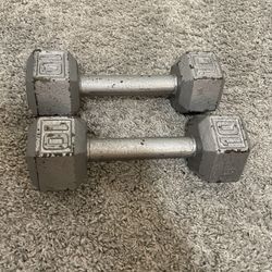 10 Pound Dumbbells