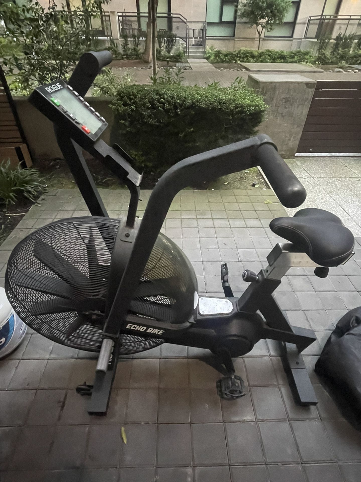 Rogue Echo Bike