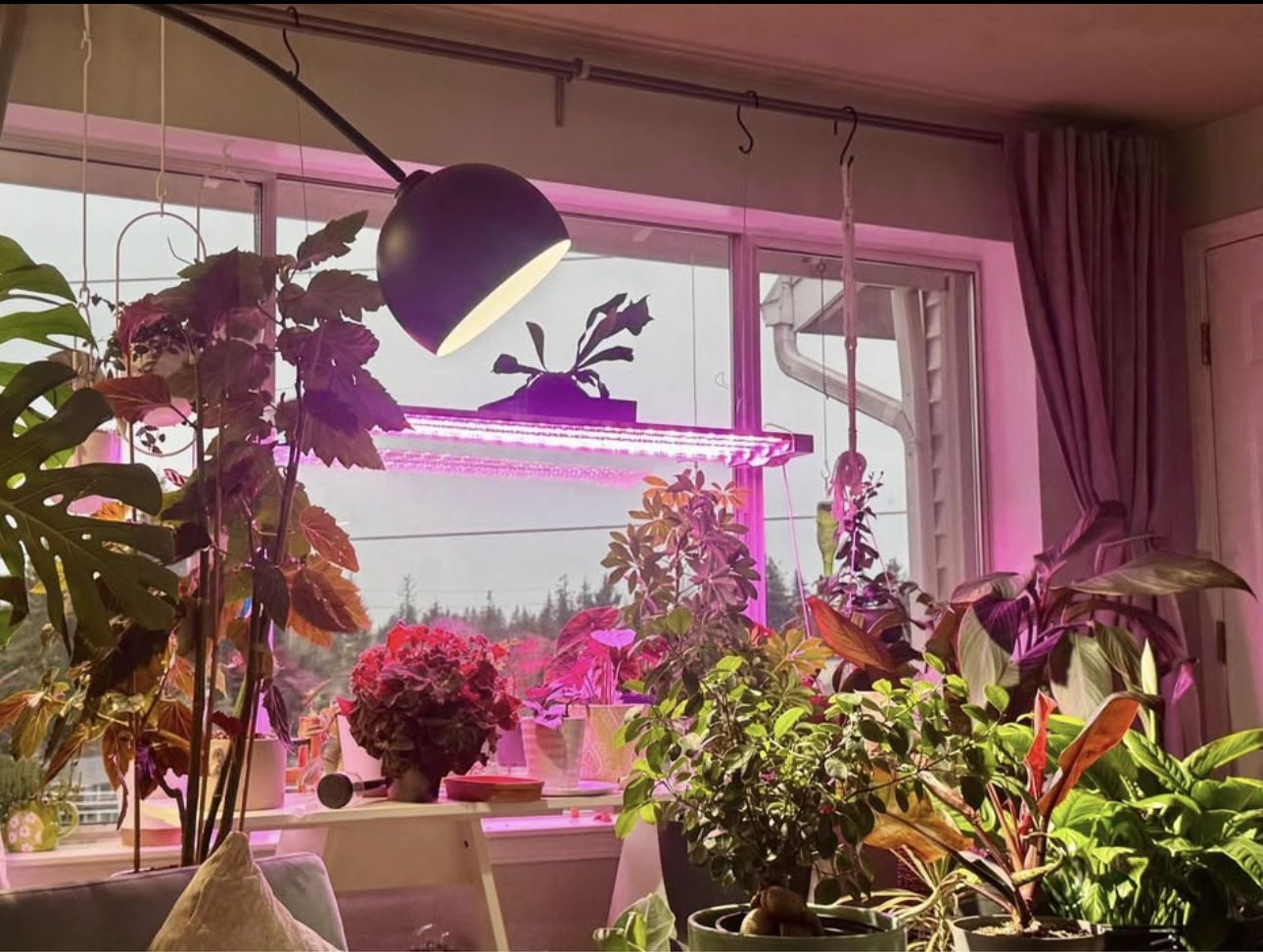 LED Plant grow light
