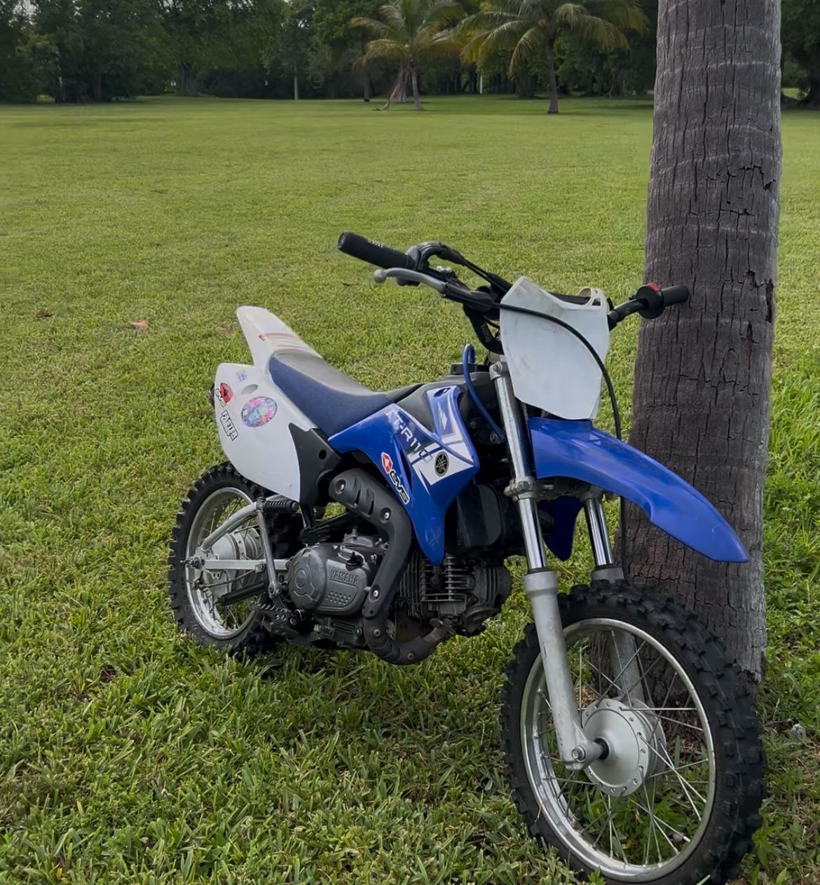 2013 Yamaha TTR-110