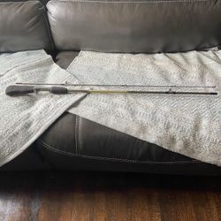 Renegade silver series 5 foot six medium action Fishing Rod