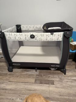 Graco Play Pen With Canopy 