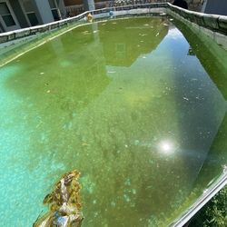 Pool Vacuum!