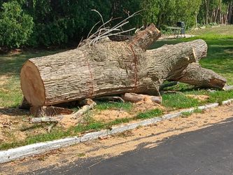 Hard wood for sale
