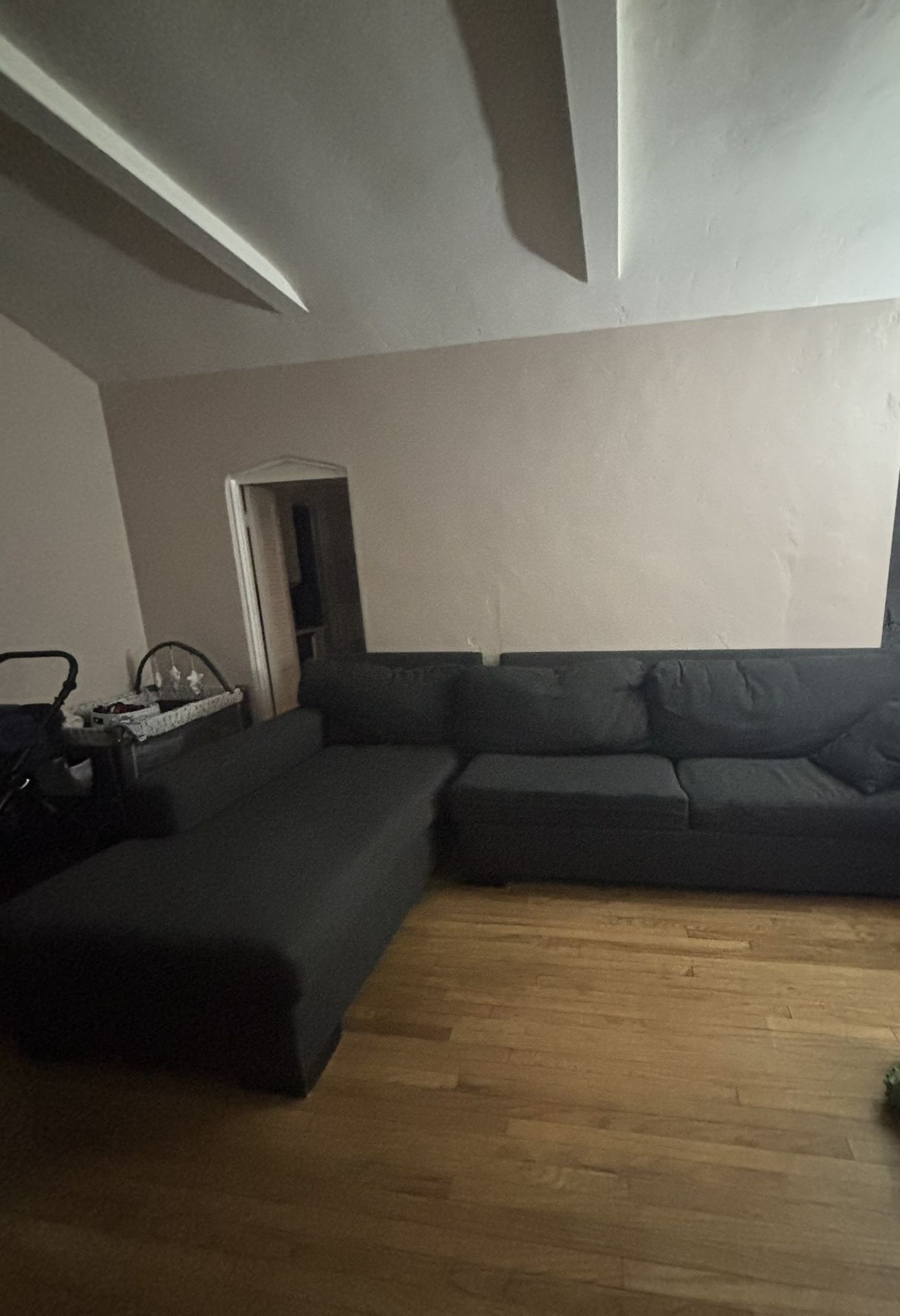 Large Sectional/pull Out Bed 