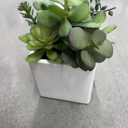 Faux Succulents In White Pot