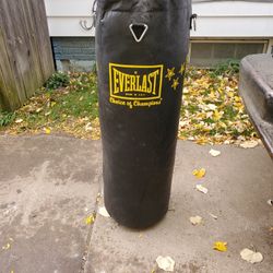 100LB EVERLAST PUNCHING BAG