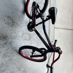 20 Inch Schwinn Bike 