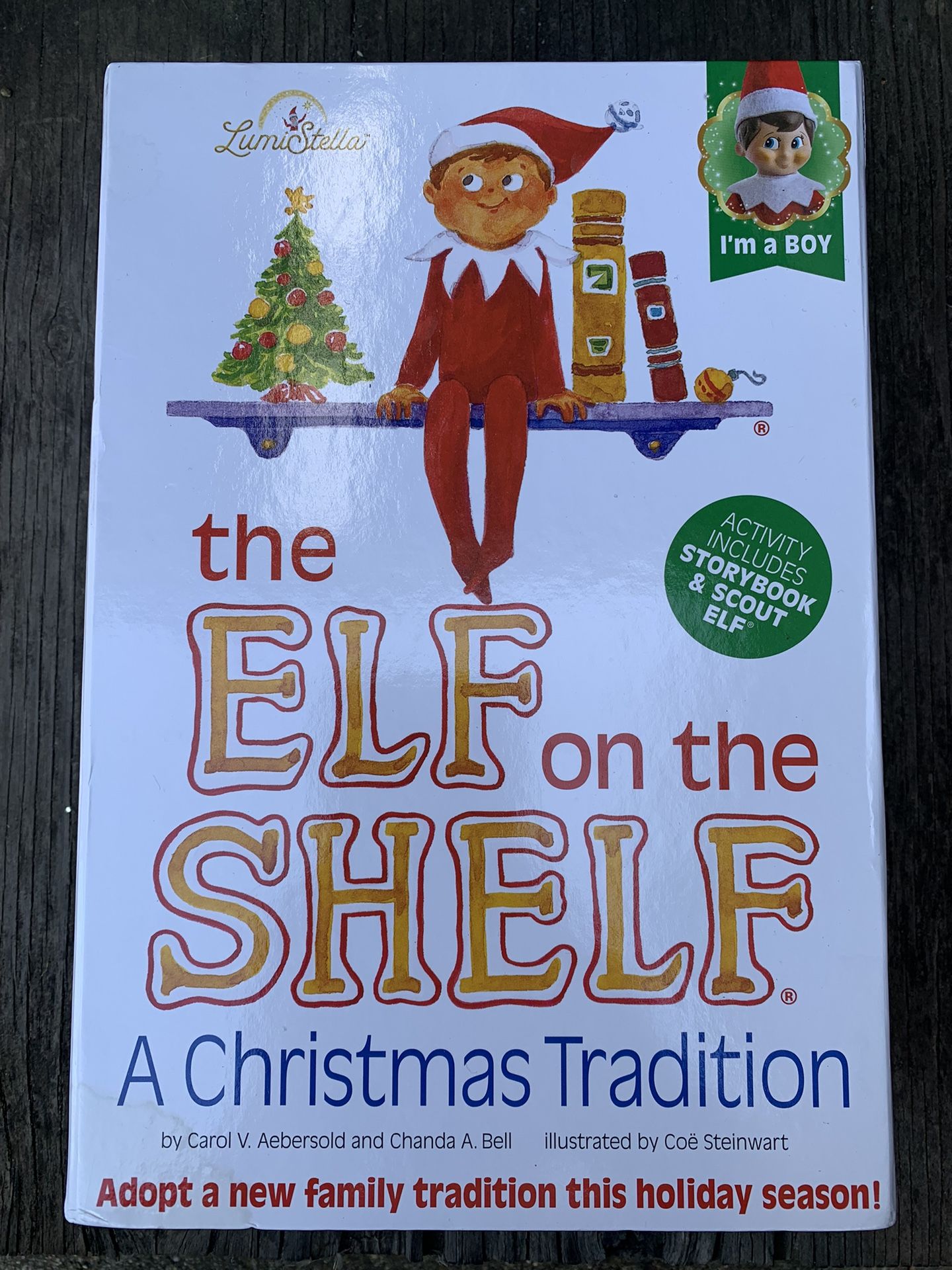 Elf on the Shelf Boy With Storybook BRAND NEW 