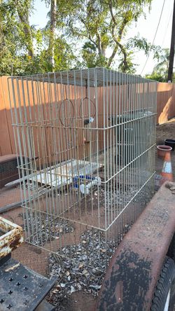 Free bird cage