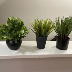 Set Of 3 Artificial Plants  Thumbnail