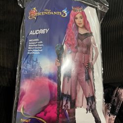 descendants 3 Costume