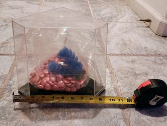 Miniature Betta Fish Tank