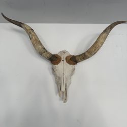 Authentic Longhorn / Bull Skull Wall Mount – Western / Rustic Decor