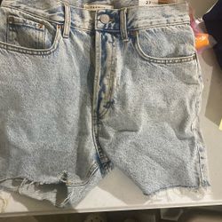 Pacsun Shorts