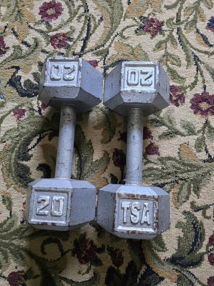 20 Pound Dumbbell Set VERY Nice Used