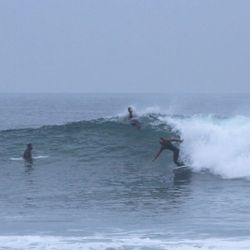 Surfboard Longboard Sale Longboards Surfboards 