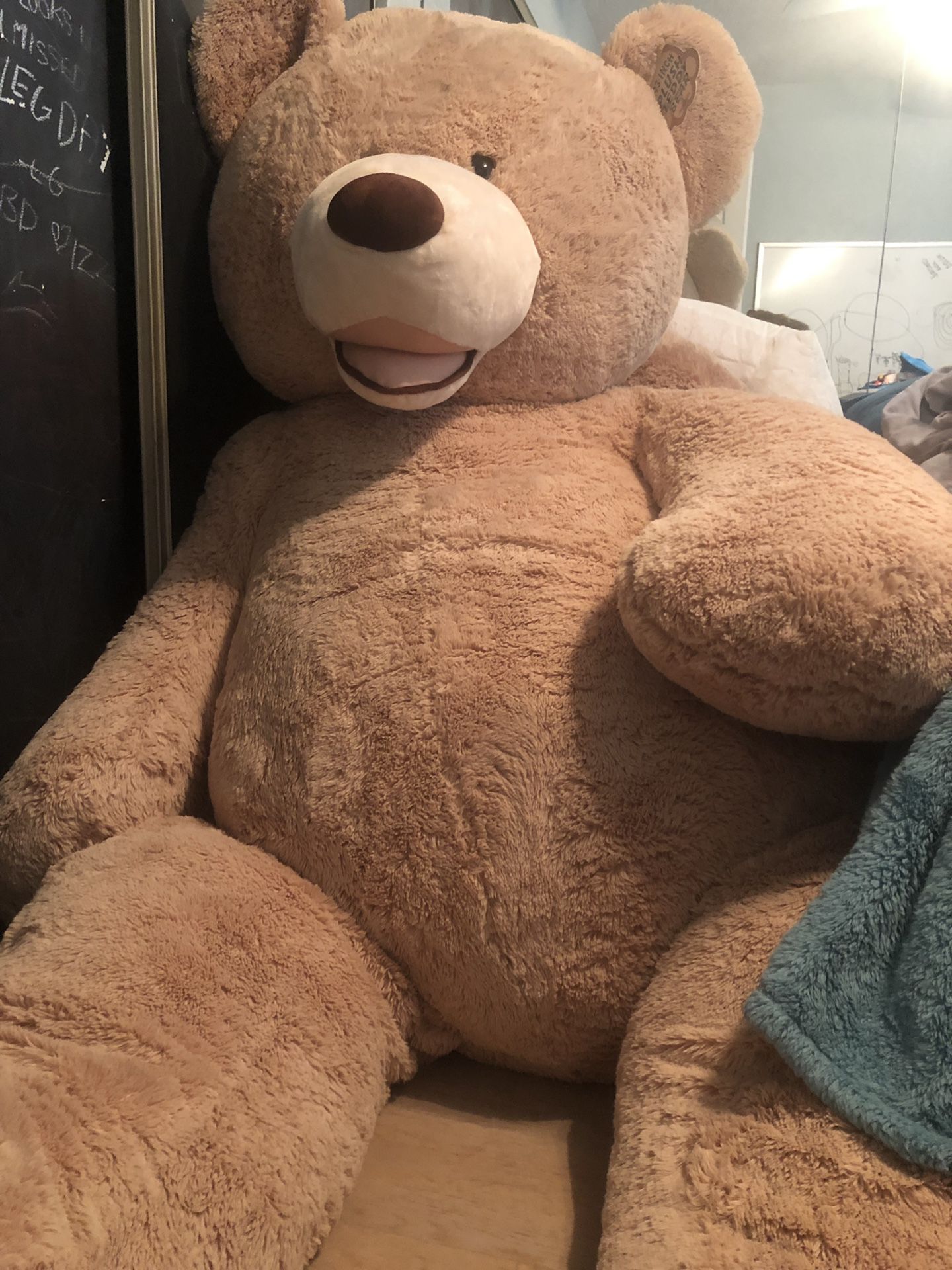 Large Teddy Bears