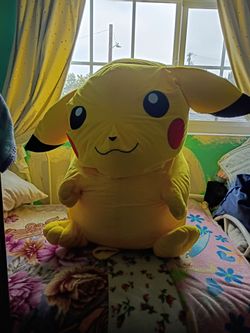 Pokemon