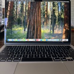 Apple MacBook Air 13-inch M3 Chip 256 GB 16 GB w/charger
