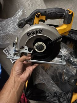 Circular Saw