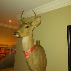 Make And Female Deer Heads Statues 