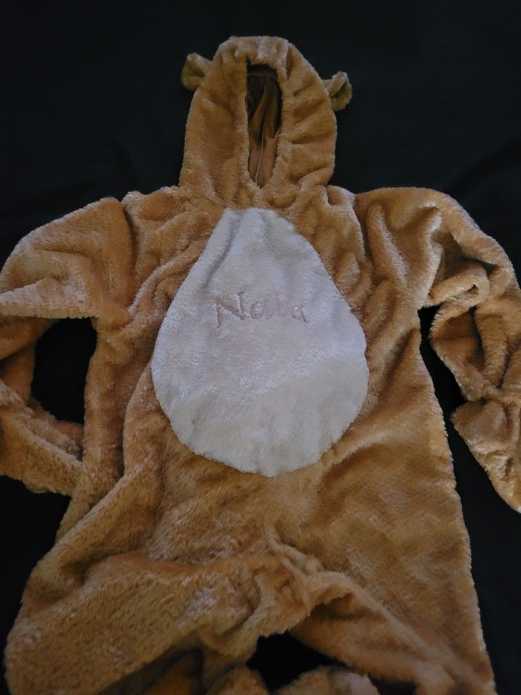 Disney Halloween Costume