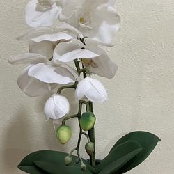 Faux White Orchid Flower Plant In Gray Vase [or Get 3 For $5]🏺 