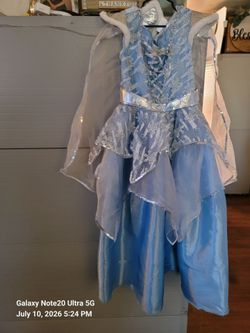 Disney Princess Dresses. 57 ave and thomas