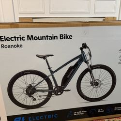 SCHWINN ELECTRIC MOUNTAINSTAIN BIKE 