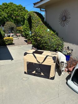 36 X 24 X 24 Pet Carrier