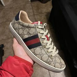 Gucci Aces 