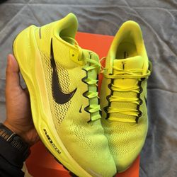 Nike Pegasus 41 Size 11