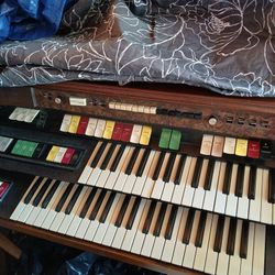 Organ